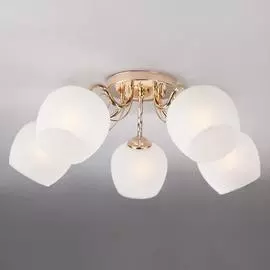 Люстра Eurosvet WENDY 30138/5 4690389126505