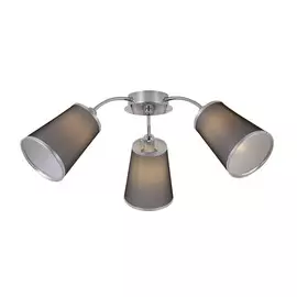 Люстра Evoluce MALEONTE SLE103002-03