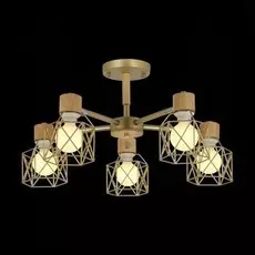 Люстра Evoluce STELITTO SLE110402-05