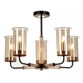 Люстра Freya Tera FR5029PL-05B