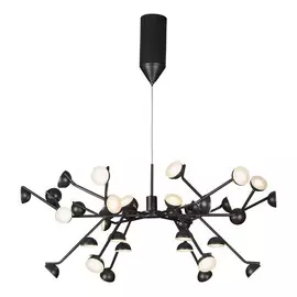 Люстра iLedex INEFABLE X088301-100 BK