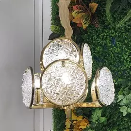 Люстра L`Arte Luce Luxury Monate L34114