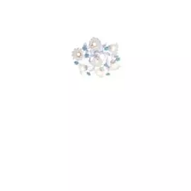 Люстра Lucia Tucci FIORI DI ROSE 112.6.1