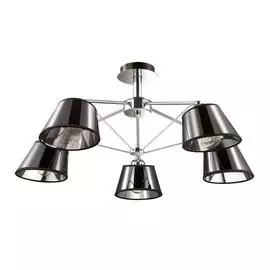 Люстра Lumion Barensa 2975/5C