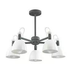 Люстра Lumion Fiona 3687/5C