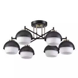 Люстра Lumion JADE 4456/6C