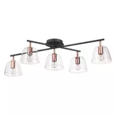 Люстра Lumion JOSEPH 4455/5C