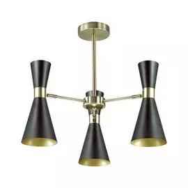 Люстра Lumion QUINN 3662/3C