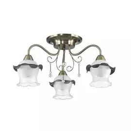 Люстра Lumion Zidoni 3239/3C