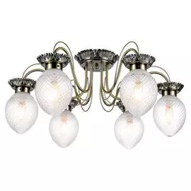 Люстра Lussole ANAHEIM LSP-8027