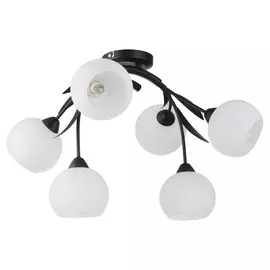 Люстра Lussole BAGHERIA LSF-6283-06