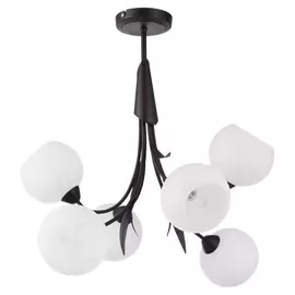 Люстра Lussole BAGHERIA LSF-6293-06