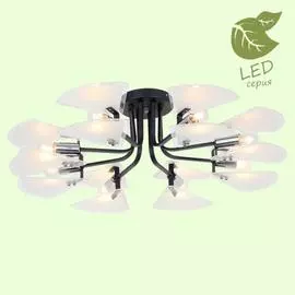 Люстра Lussole BECHAROF GRLSP-8190