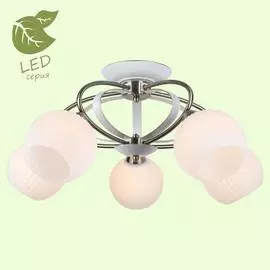 Люстра Lussole FAYETTEVILLE GRLSP-0166