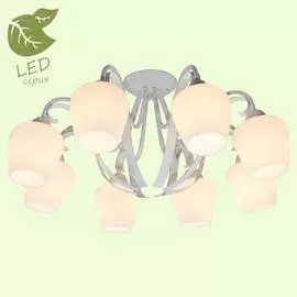 Люстра Lussole FAYETTEVILLE GRLSP-9910