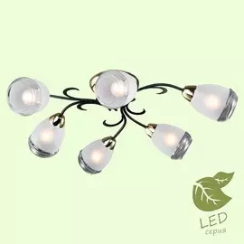 Люстра Lussole OAKLAND GRLSP-9952