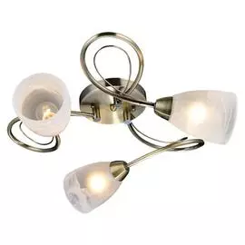 Люстра Lussole ROGERS LSP-0187