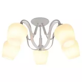 Люстра Lussole FAYETTEVILLE LSP-9909