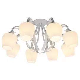 Люстра Lussole FAYETTEVILLE LSP-9910