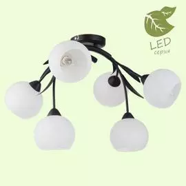 Люстра Lussole BAGHERIA GRLSF-6283-06