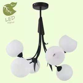 Люстра Lussole BAGHERIA GRLSF-6293-06