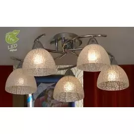 Люстра Lussole ZUNGOLI GRLSF-1603-05