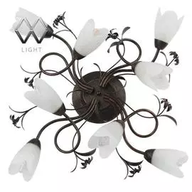 Люстра MW-Light AIDA 323013708