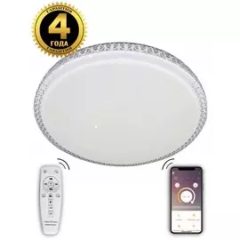 Люстра Natali Kovaltseva LED LAMPS 81077