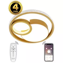 Люстра Natali Kovaltseva LED LAMPS 81316