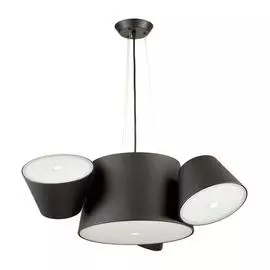 Люстра Odeon Light CHARLIE 3990/4