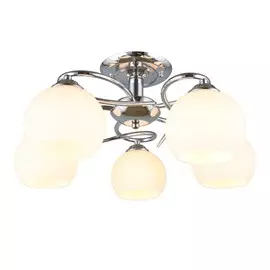 Люстра Omnilux CASORIA OML-25107-05