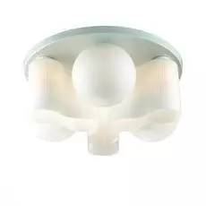 Люстра St Luce Schiuma SL539.502.09