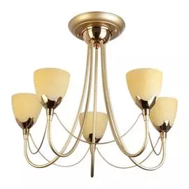 Люстра Toplight LUCIA TL3630X-05MG