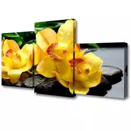 Мини модульная картина Toplight 50х78 TL-MM1040