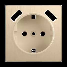 Накладка для розетки USB (шампань рифленый) Werkel WL10-USB-CP 4690389100369
