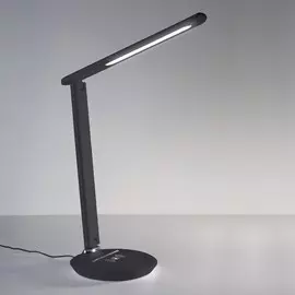 Настольная лампа Elektrostandard BRAVA TL90530 4690389147142