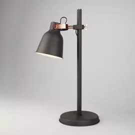 Настольная Лампа Eurosvet Projector 01031/1 4690389122705