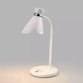 Настольная лампа Eurosvet SCHOOL 01077/1 4690389144806