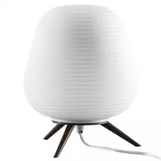 Настольная Лампа Lightstar ARNIA 805911