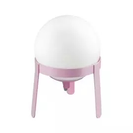 Настольная Лампа Lumion CHIPO 3649/1T