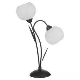 Настольная Лампа Lussole Bagheria LSF-6294-02