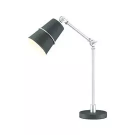 Настольная Лампа Odeon Light CARLOS 4154/1T
