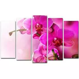 Пятимодуль Toplight 80х125 TL-PM0009