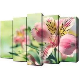 Пятимодуль Toplight 80х125 TL-PM0010