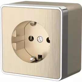 Розетка с заземлением Gallant (шампань рифленый) Werkel WL15-02-01 4690389129629