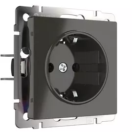 Розетка Werkel a029861