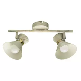 Спот Arte Lamp BALTIMORE A1406AP-2WG