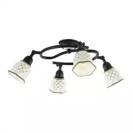 Спот Citilux AZHUR CL534542