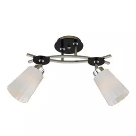 Спот Citilux Димона CL148121