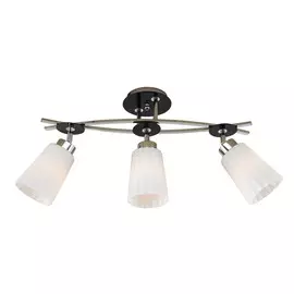 Спот Citilux ДИМОНА CL148131